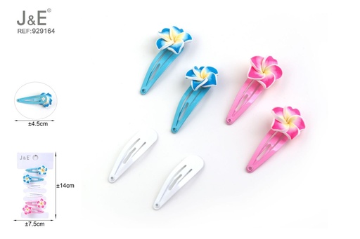 [929164] [12u/cx]Set de 6 Broches BB